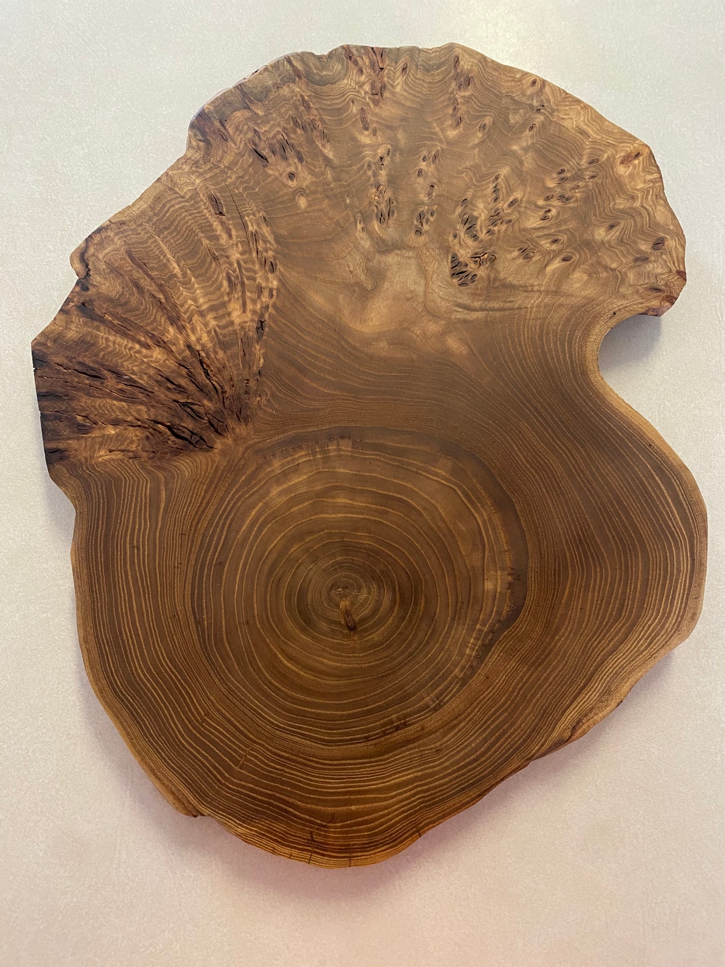 Elm Burl Cutting or Charcuterie board