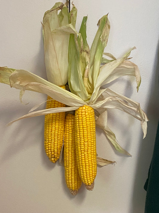 Corn Decorations